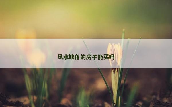 風水缺角的房子能買嗎