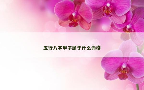 五行八字甲子屬于什么命格