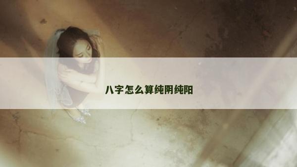 八字怎么算純陰純陽