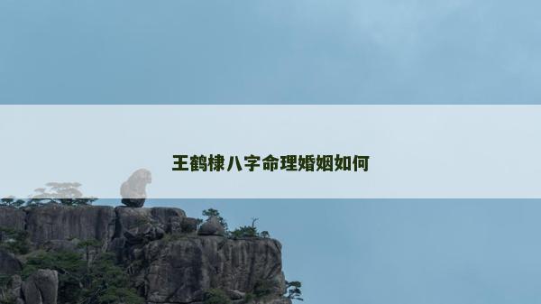 王鶴棣八字命理婚姻如何