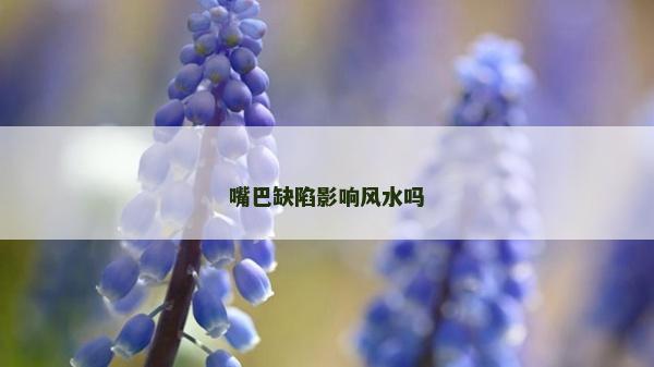 嘴巴缺陷影響風水嗎