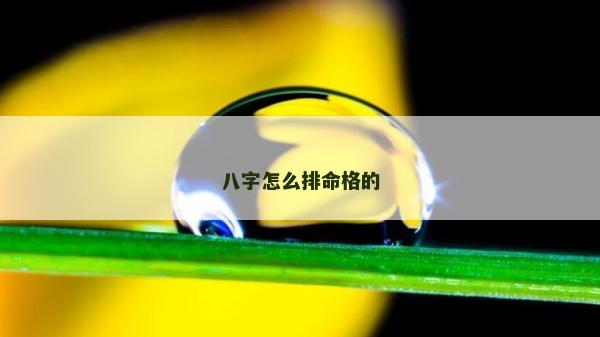 八字怎么排命格的 八字怎么排命格的