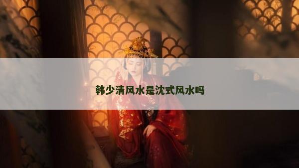 韓少清風水是沈式風水嗎