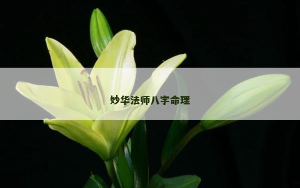 妙華法師八字命理