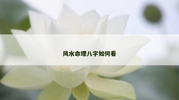風水命理八字如何看
