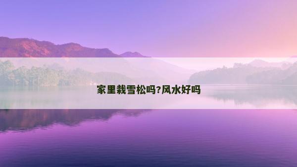 家里栽雪松嗎?風(fēng)水好嗎