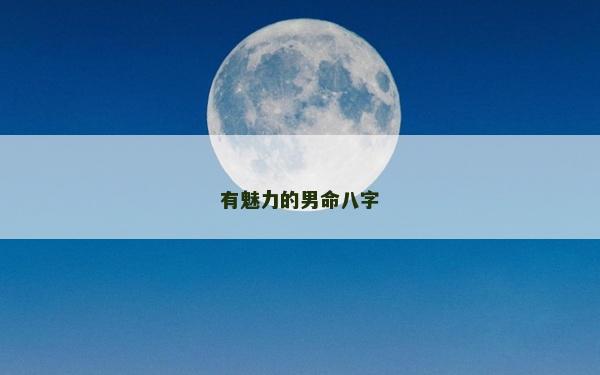 有魅力的男命八字