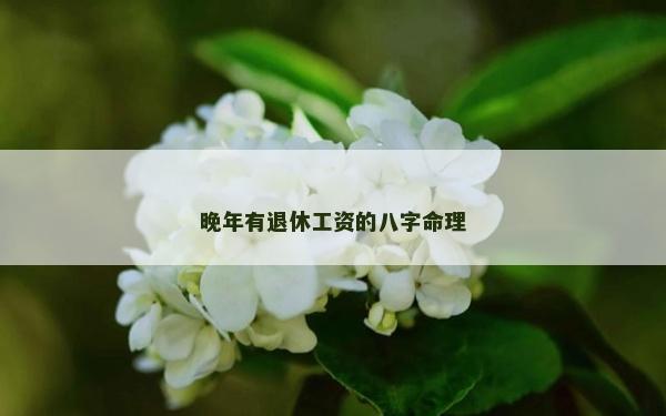 晚年有退休工資的八字命理