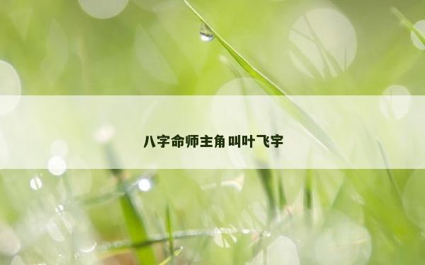 八字命師主角叫葉飛宇 八字命師主角叫葉飛宇