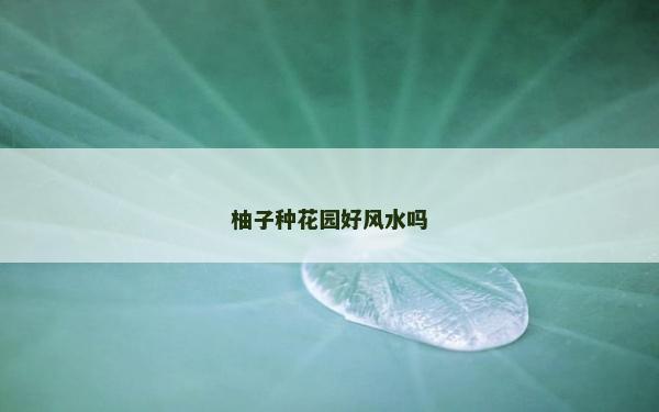 柚子種花園好風水嗎