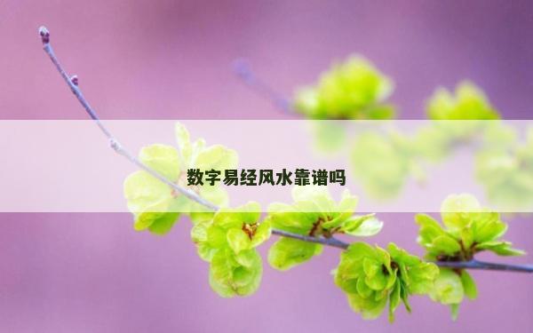 數(shù)字易經(jīng)風(fēng)水靠譜嗎