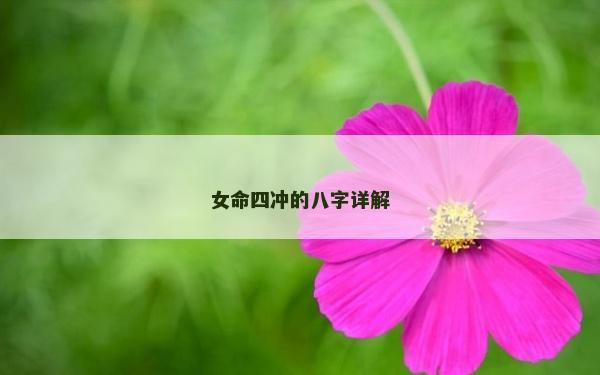 女命四沖的八字詳解