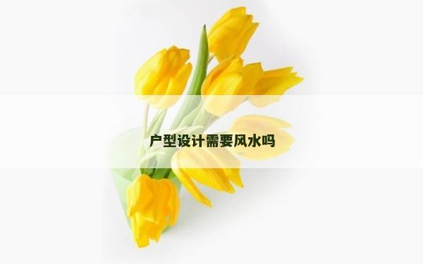 戶型設計需要風水嗎 戶型設計需要風水嗎