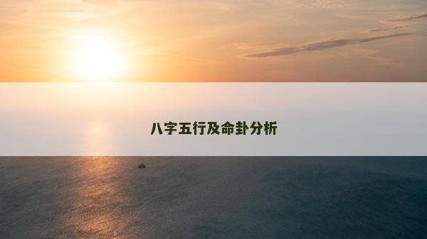 八字五行及命卦分析 八字五行及命卦分析
