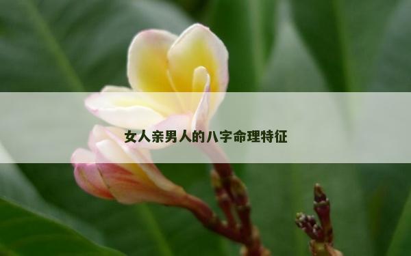 女人親男人的八字命理特征 女人親男人的八字命理特征