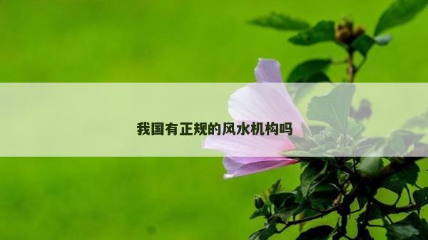 我國有正規的風水機構嗎