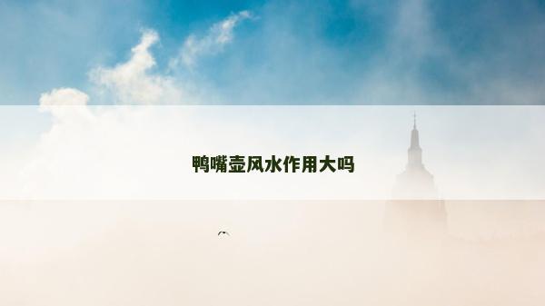 鴨嘴壺風(fēng)水作用大嗎
