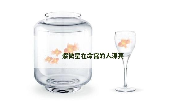 紫微星在命宮的人漂亮