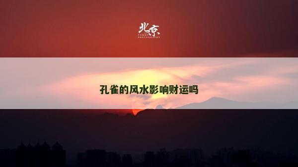 孔雀的風水影響財運嗎