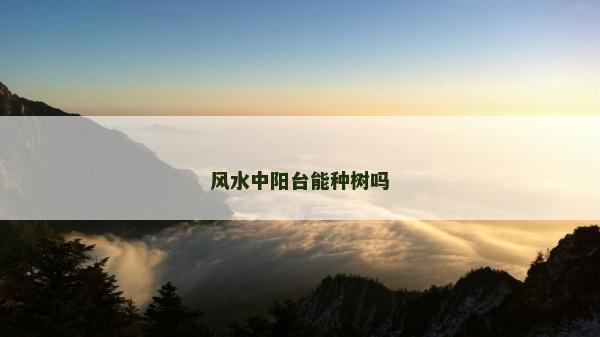風水中陽臺能種樹嗎