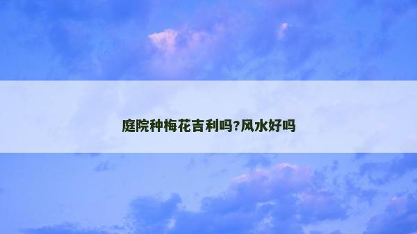庭院種梅花吉利嗎?風水好嗎