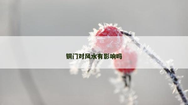 銅門對風水有影響嗎
