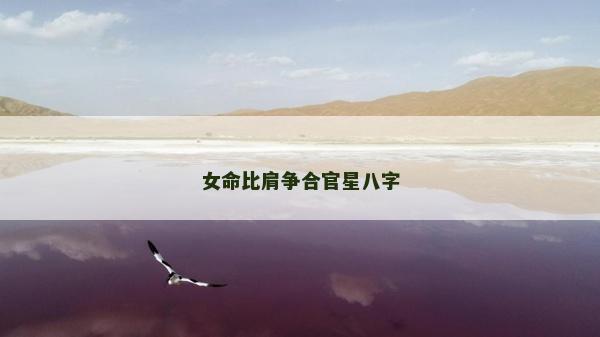女命比肩爭合官星八字