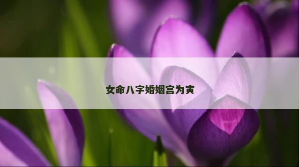 女命八字婚姻宮為寅