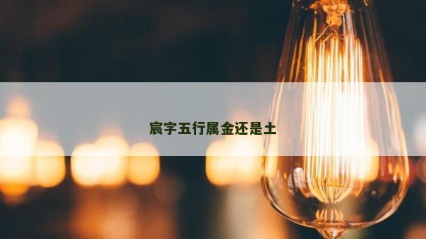 宸字五行屬金還是土