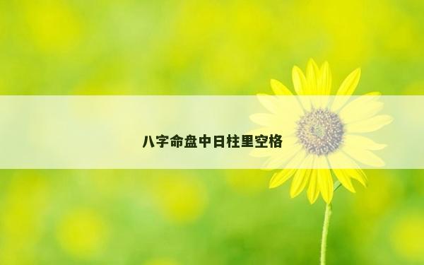 八字命盤中日柱里空格