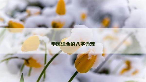 學醫適合的八字命理