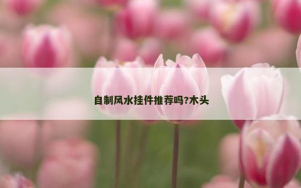 自制風(fēng)水掛件推薦嗎?木頭