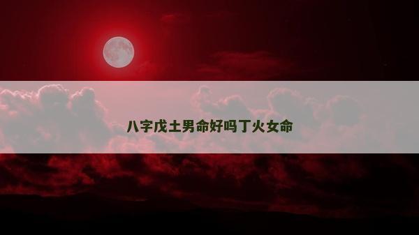 八字戊土男命好嗎丁火女命