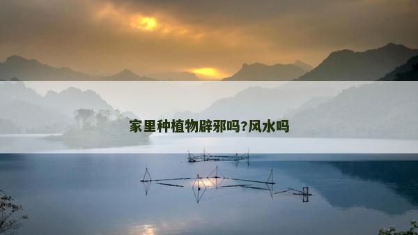 家里種植物辟邪嗎?風(fēng)水嗎