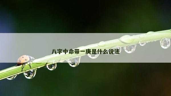 八字中命帶一庚是什么說法