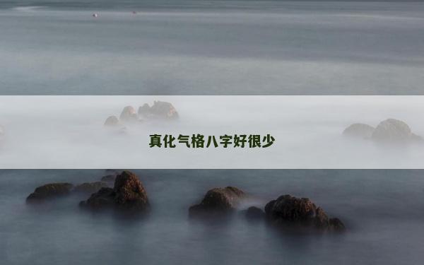 真化氣格八字好很少