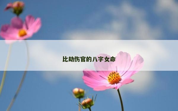 比劫傷官的八字女命