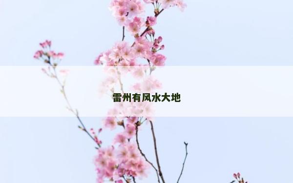 雷州有風水大地