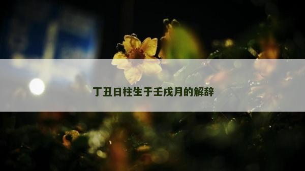 丁丑日柱生于壬戌月的解辭