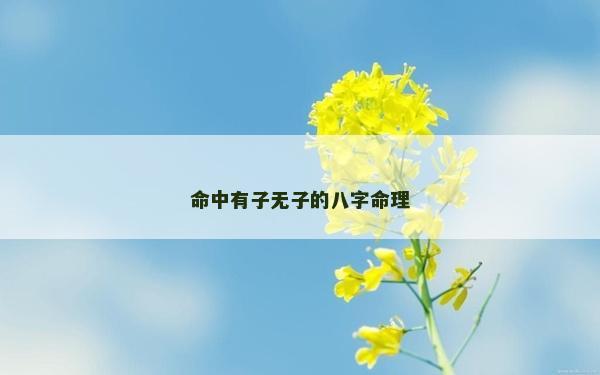 命中有子無子的八字命理