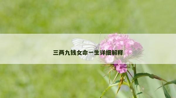 三兩九錢女命一生詳細(xì)解釋
