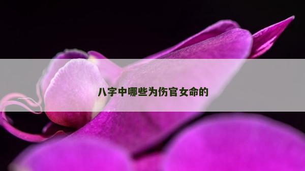 八字中哪些為傷官女命的