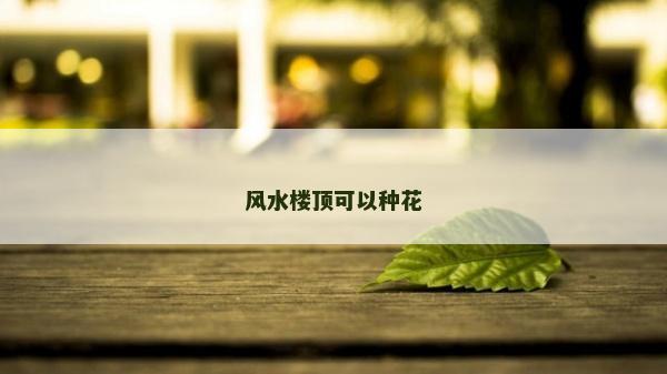 風(fēng)水樓頂可以種花