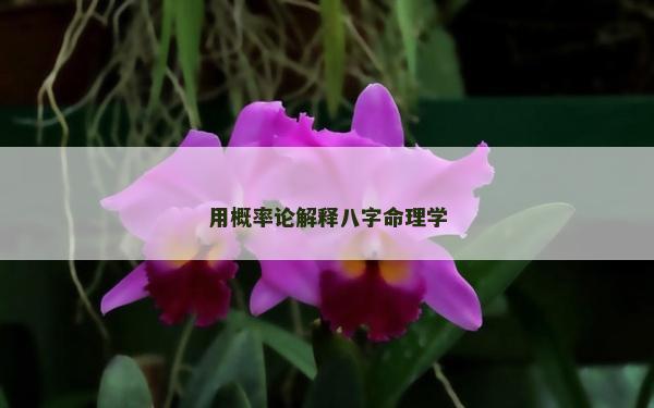 用概率論解釋八字命理學