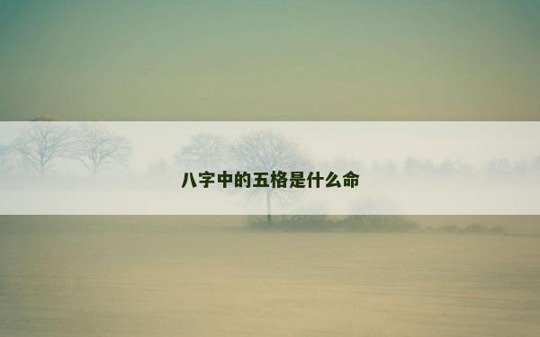 八字中的五格是什么命