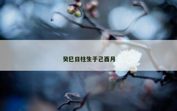 癸巳日柱生于己酉月
