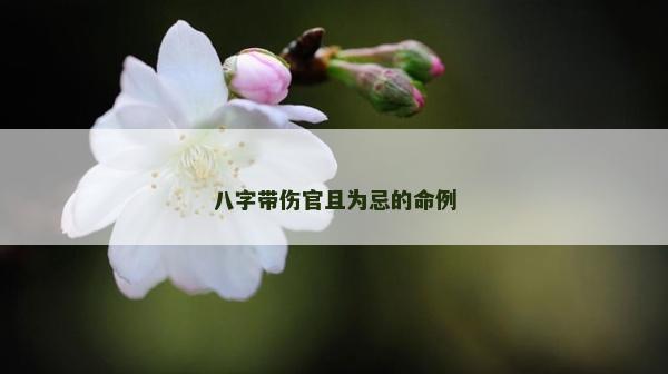八字帶傷官且為忌的命例