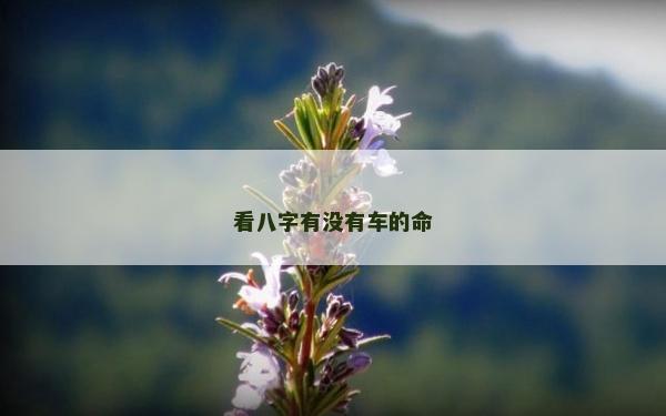 看八字有沒有車的命