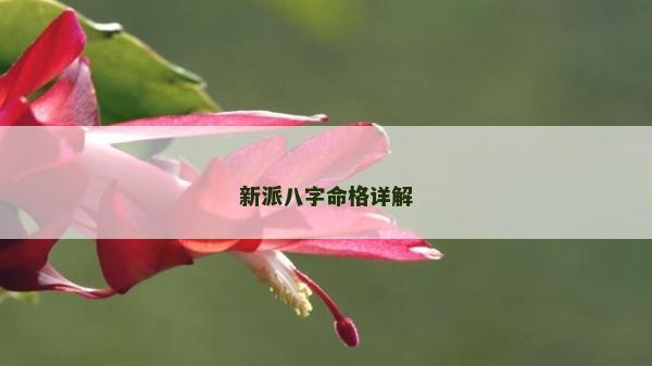 新派八字命格詳解