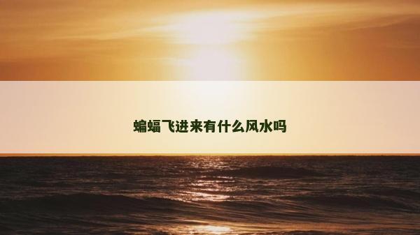 蝙蝠飛進來有什么風水嗎